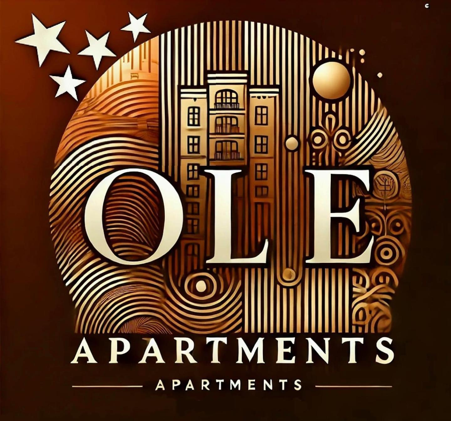 Ole Apartment - Get Your Energy For Free! Coffee And Tea On The House تيميشورا المظهر الخارجي الصورة